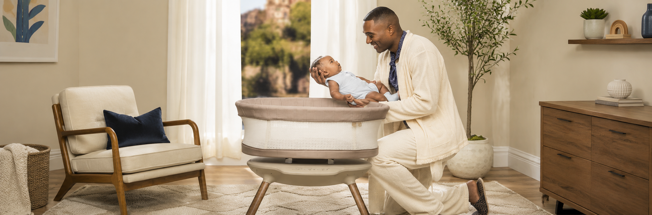 Baby Bassinet & Cradle