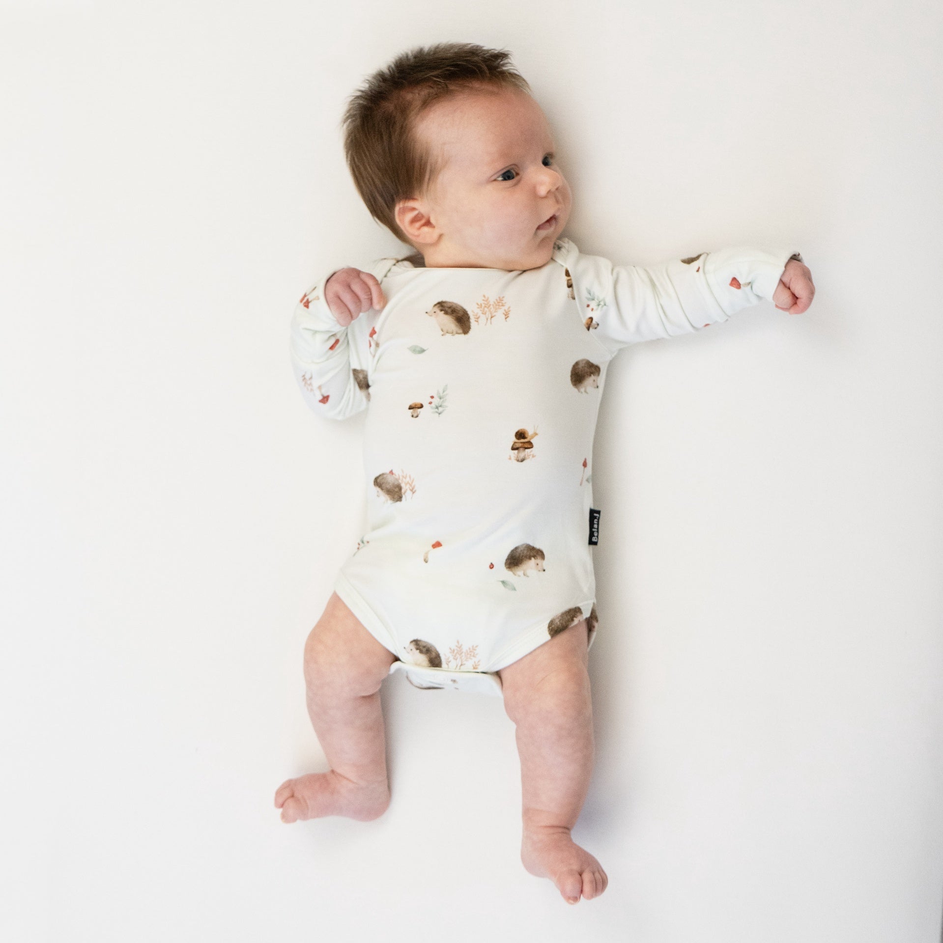 L/S Onesie - Hedgehogs