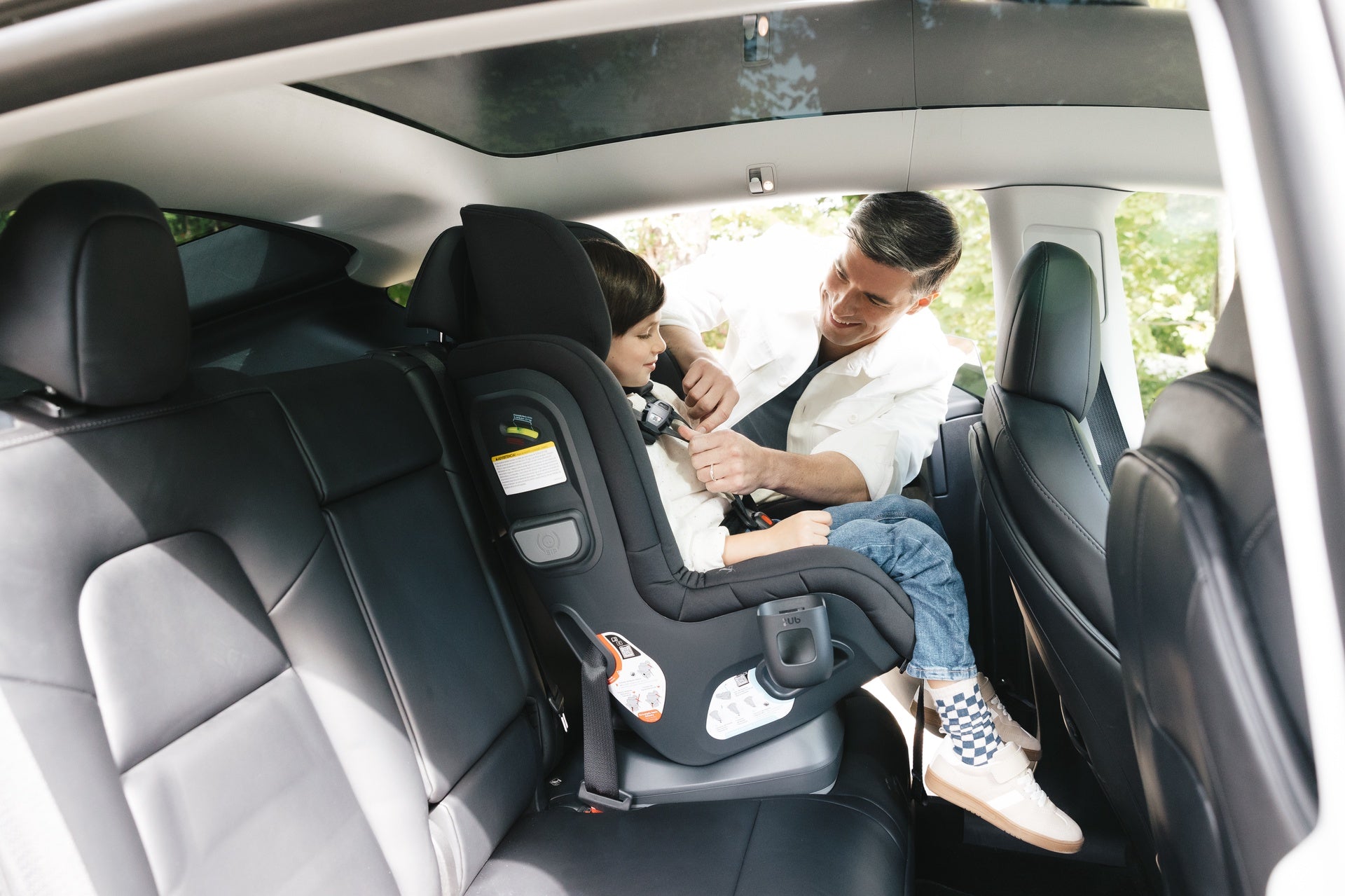 UPPAbaby Rove Convertible Car Seat