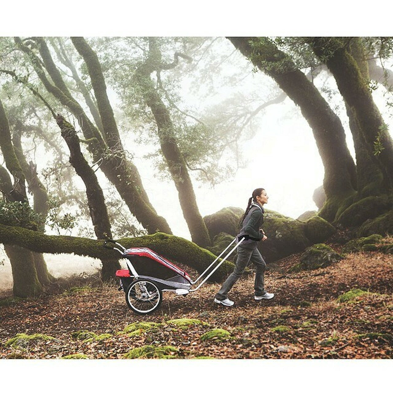 Thule Chariot Cross-Country Skiing Kit