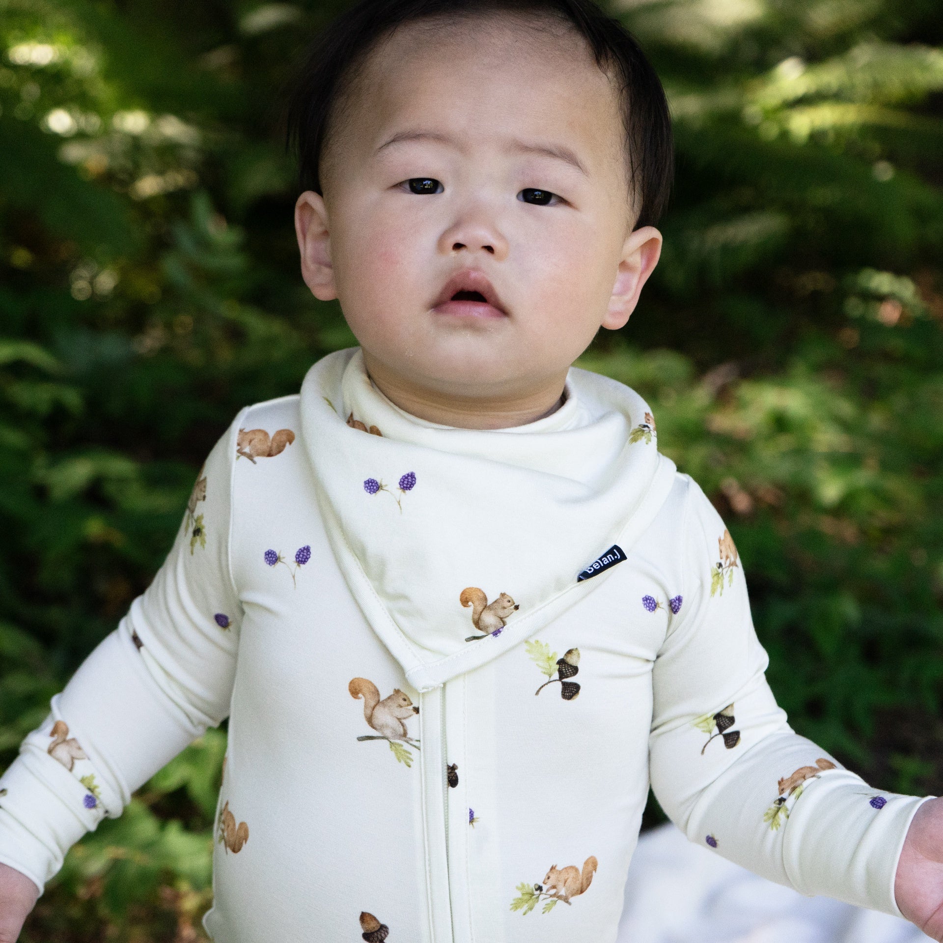 Bandana Bib - Squirrels
