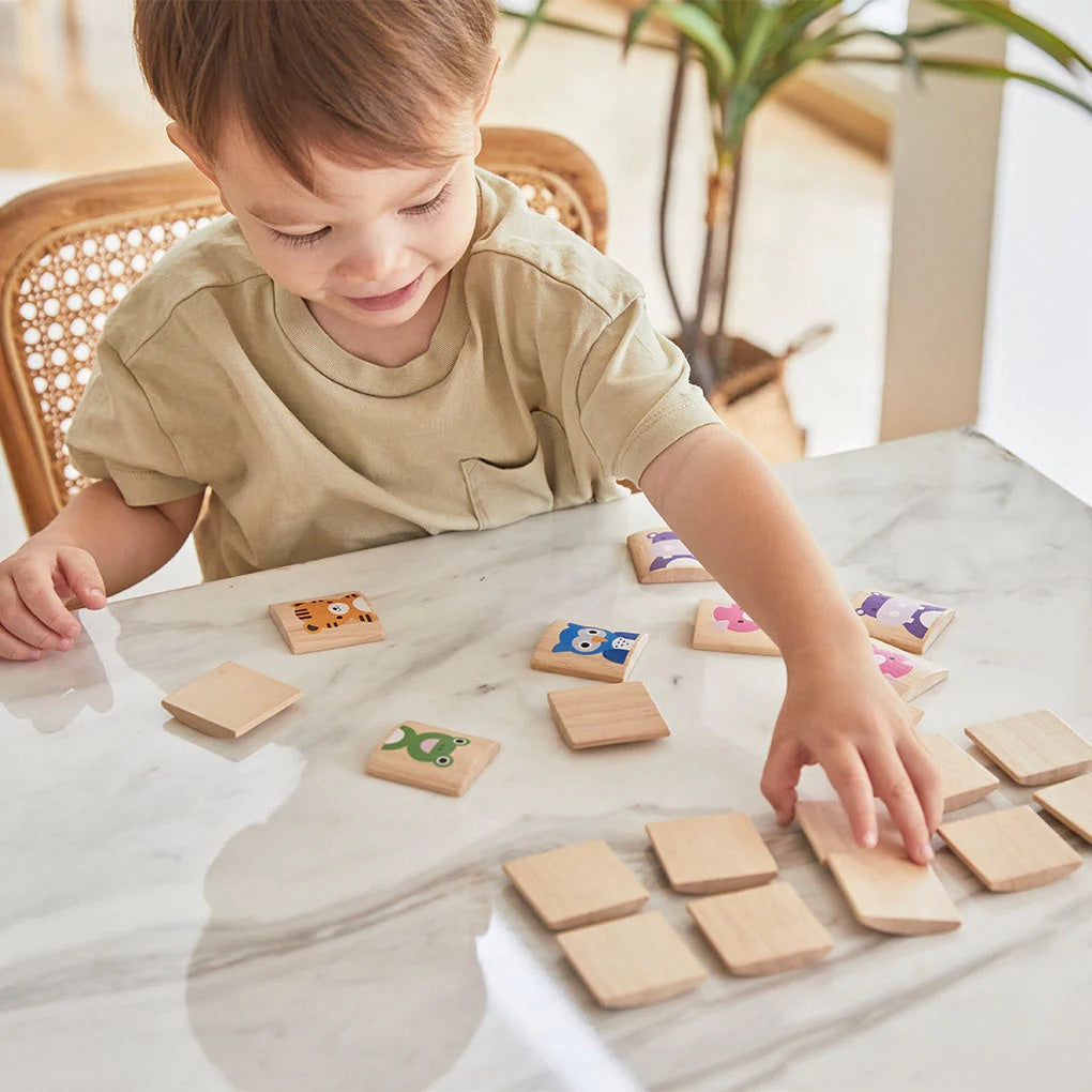 PlanToys Animals Memo