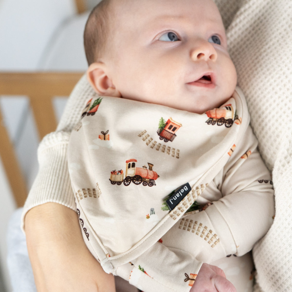 Bandana Bib - Christmas Train