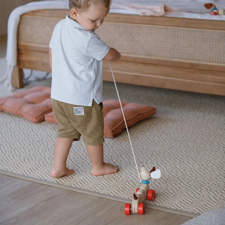 Plan Toys Pull-Along Happy Puppy