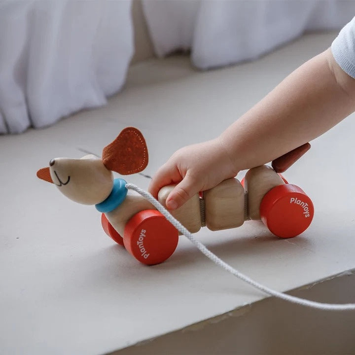 Plan Toys Pull-Along Happy Puppy