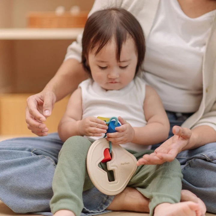 Plan Toys First Shape Sorter
