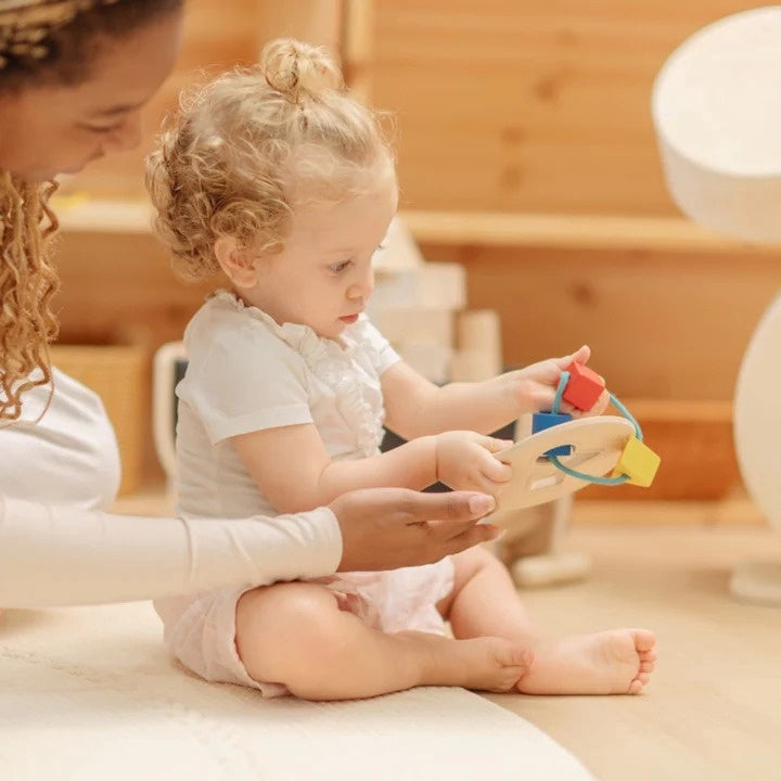 Plan Toys First Shape Sorter