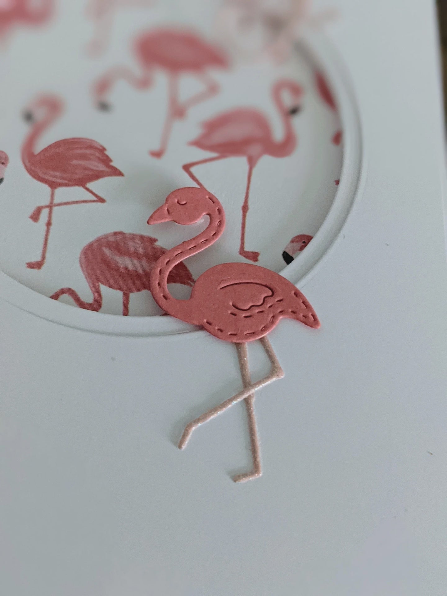 Lovely Paper Design Flocking Fabulous Card
