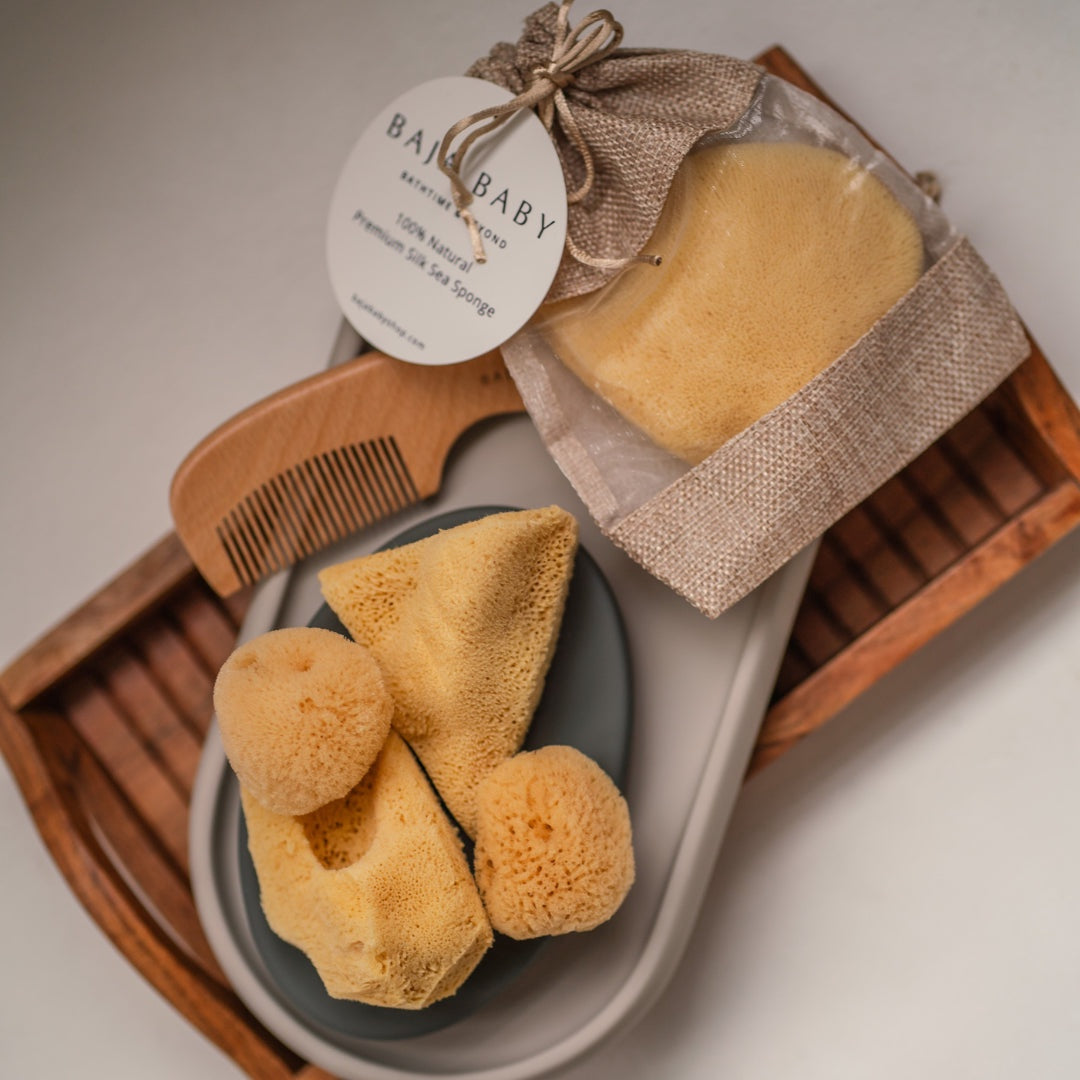 Baja Baby - Silk Sea Sponge