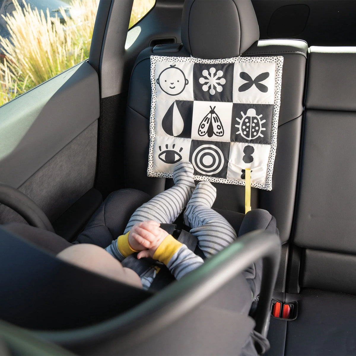 Wimmer 3-in-1 Play Mat