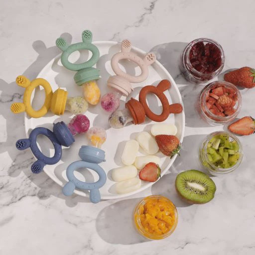 Haakaa Fresh Food Feeder & Cover Set