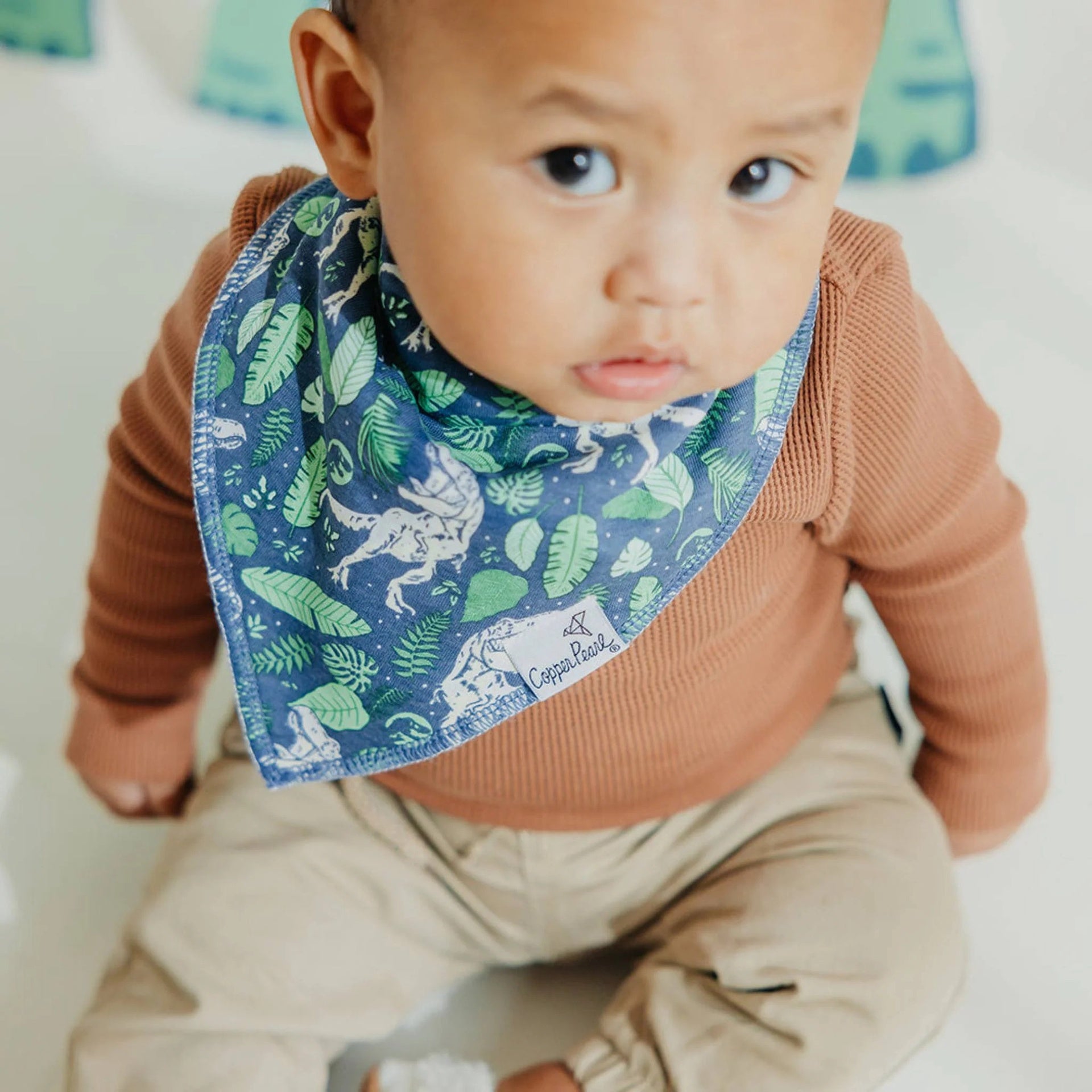 Copper Pearl Bandana Bib Set - Jurassic Park