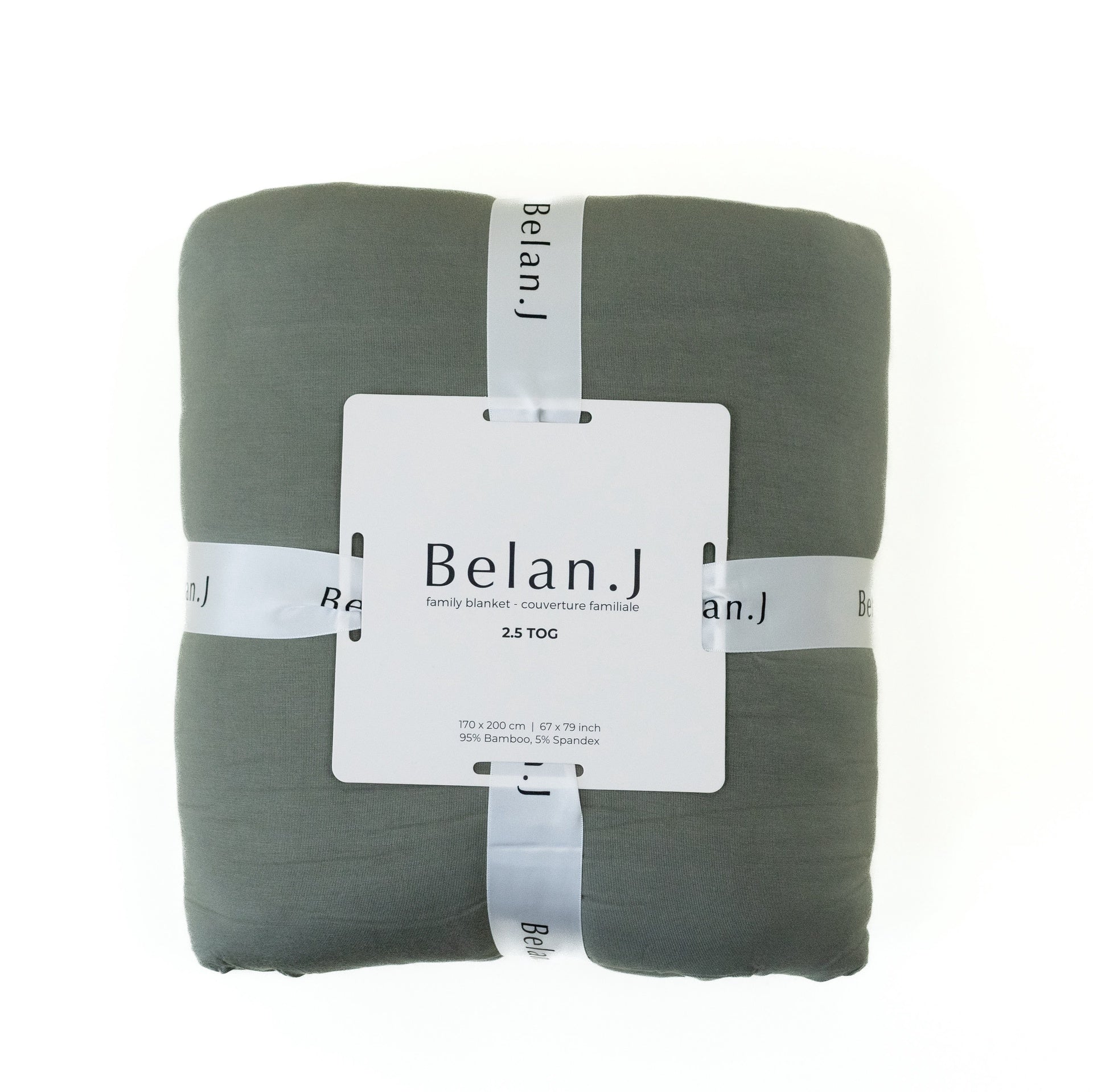 2.5 TOG Family Blanket - Moss