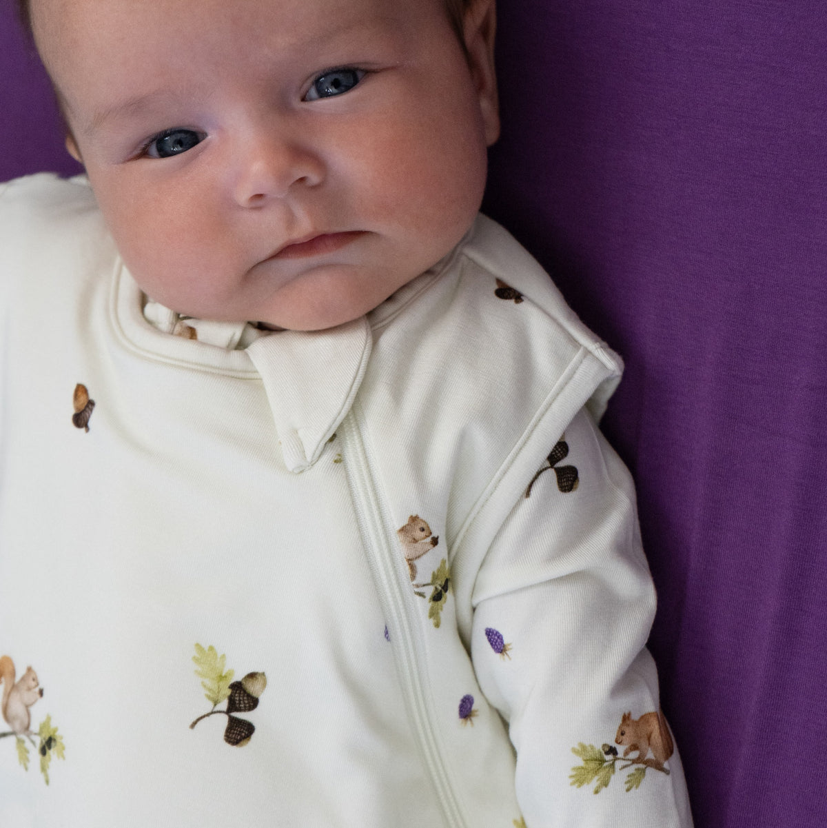 2.5 TOG Sleep Sack - Squirrels