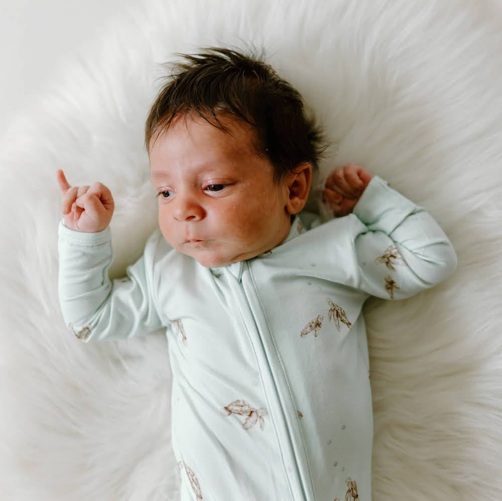 Footless Sleeper with Fold-over cuffs - Turtles