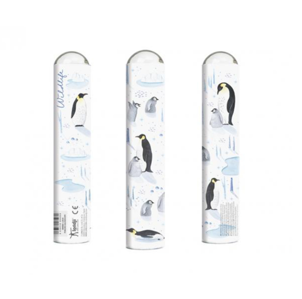 Kaleidoscope - Penguins