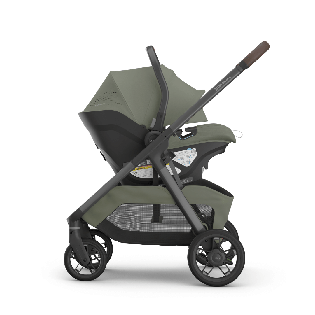 uppababy kona evelyn 