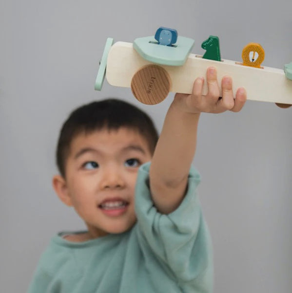 Trixie Wooden Animal Airplane