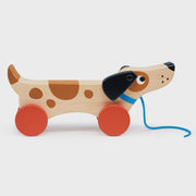 Mentari Puppy on Wheels