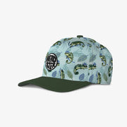Headster Mister Chameleon Curved Brim Snapback - Crystal