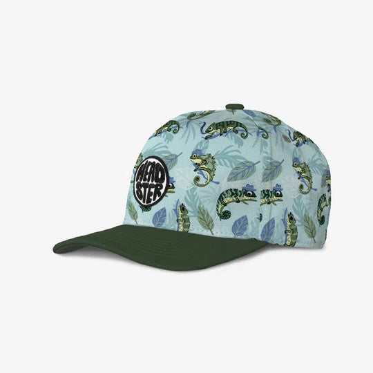 Headster Mister Chameleon Curved Brim Snapback - Crystal