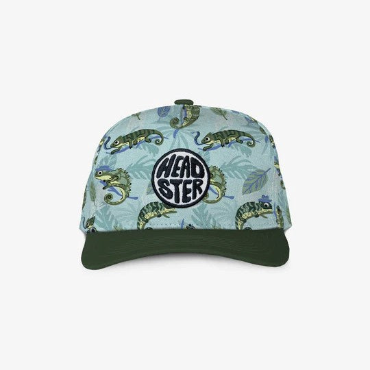 Headster Mister Chameleon Curved Brim Snapback - Crystal