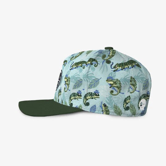 Headster Mister Chameleon Curved Brim Snapback - Crystal