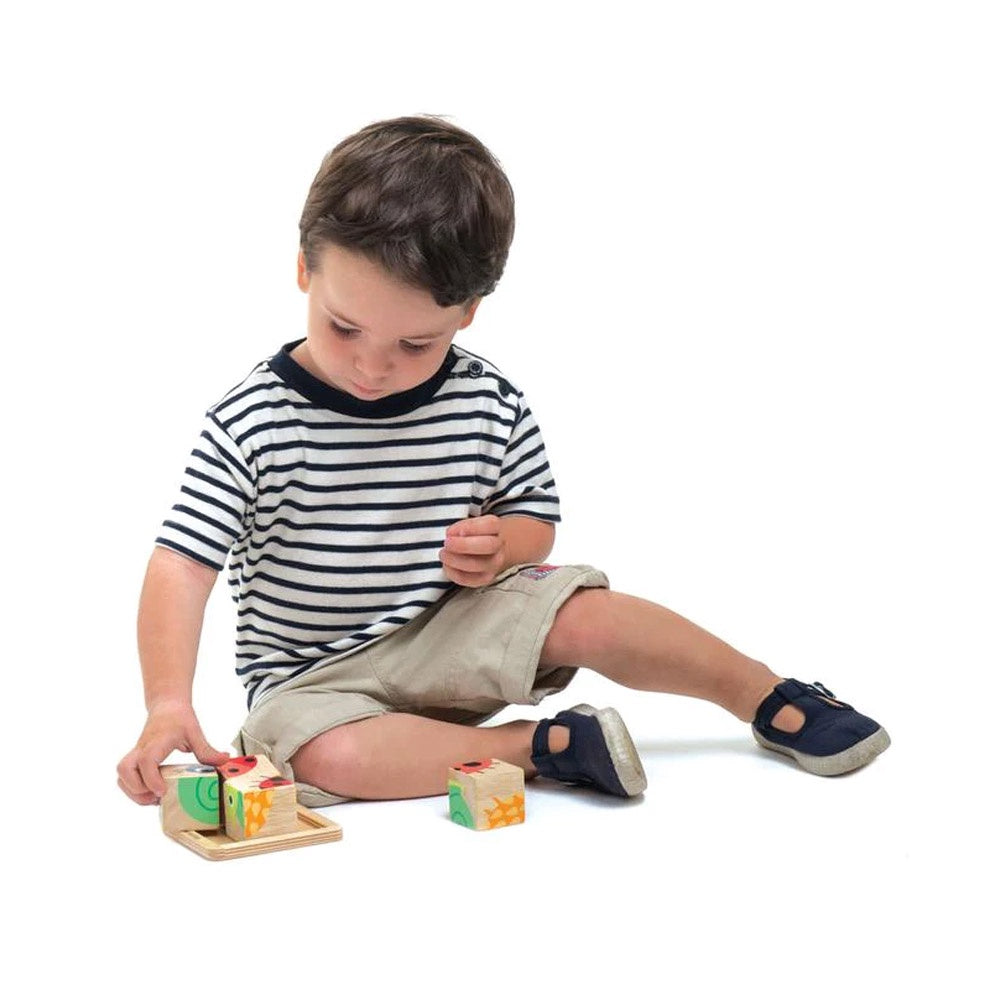 Tender Leaf Baby Blocks