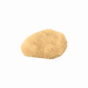 Baja Baby - Silk Sea Sponge