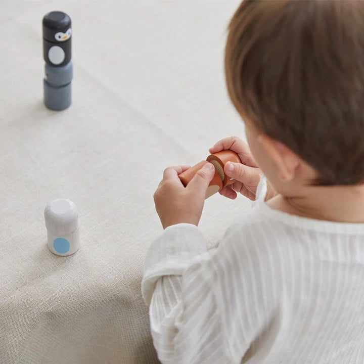 Plan Toys Arctic Animal Matching