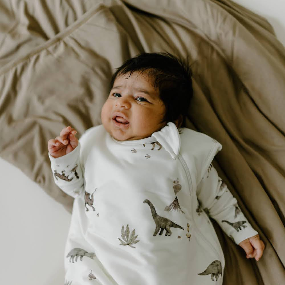 1.0 TOG Sleep Sack - Dinoland