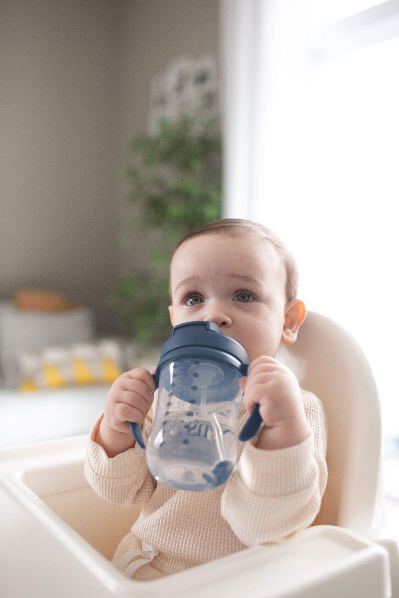 Dr. Brown’s Milestones Baby’s First Straw Cup 9oz