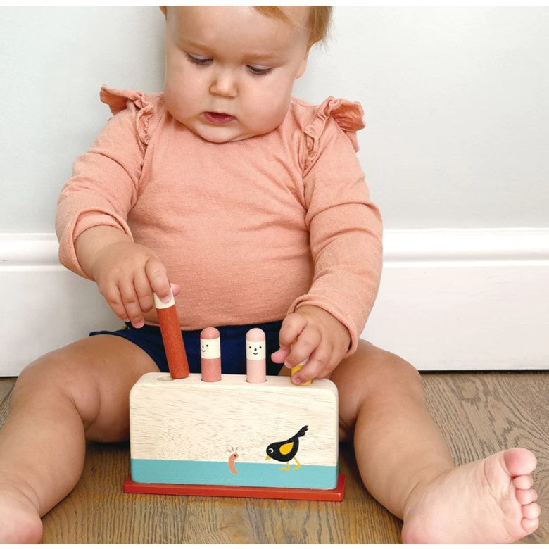 Mentari -Early Bird Pop Up