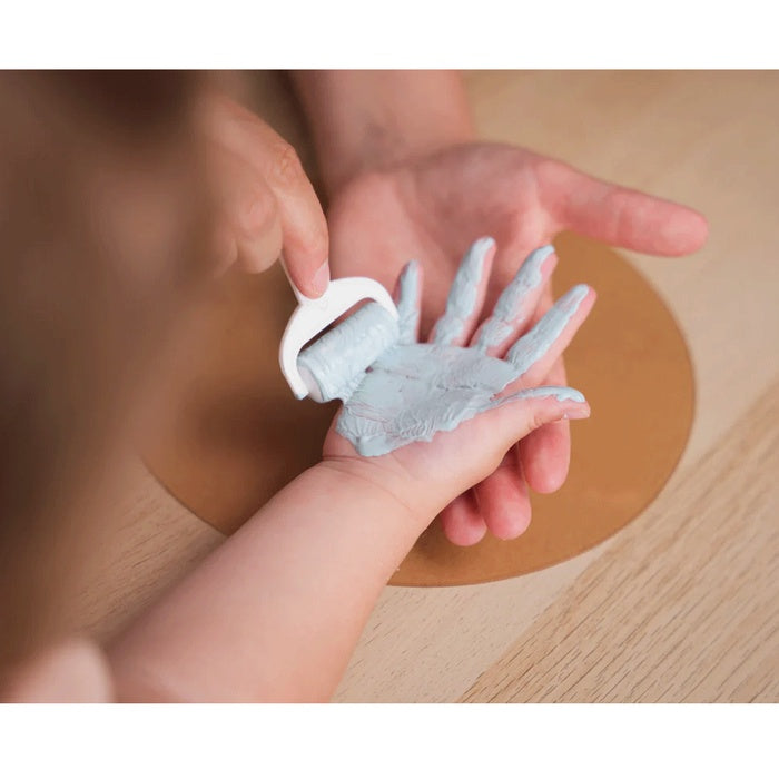 Petit Artichaut Family Colors