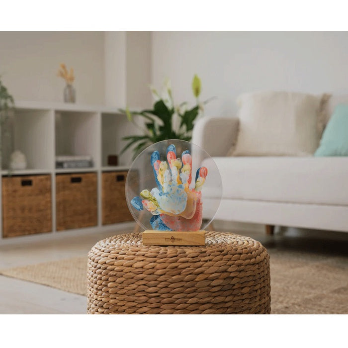 Petit Artichaut Family Colors