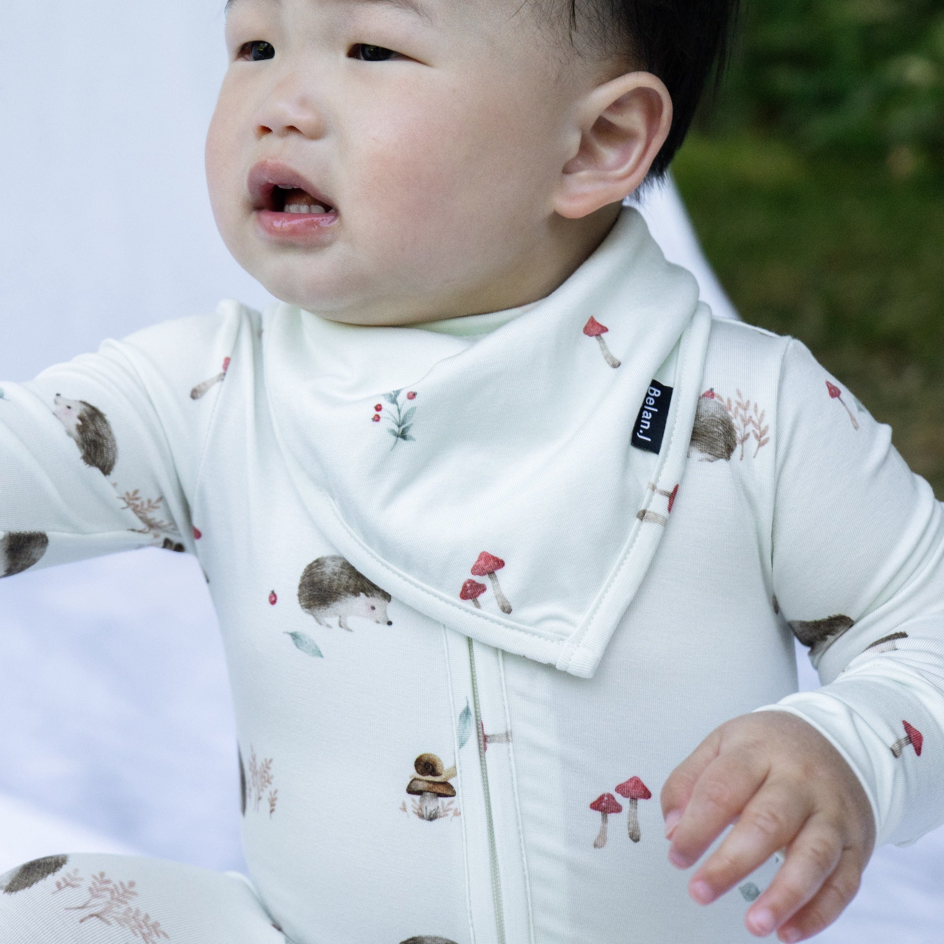 Bandana Bib - Hedgehogs