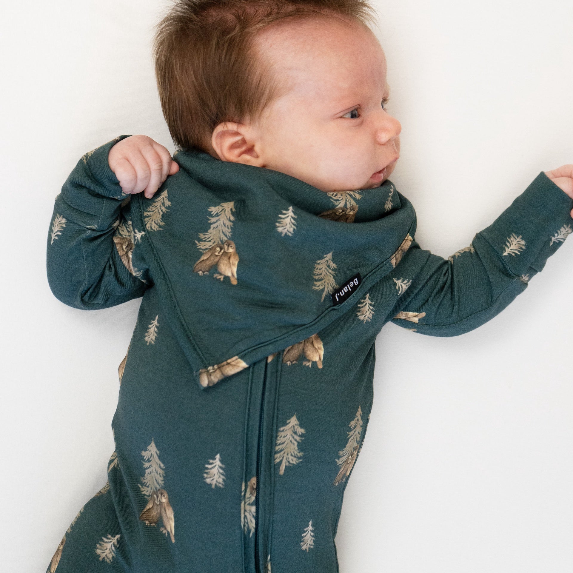 Bandana Bib  - Owls