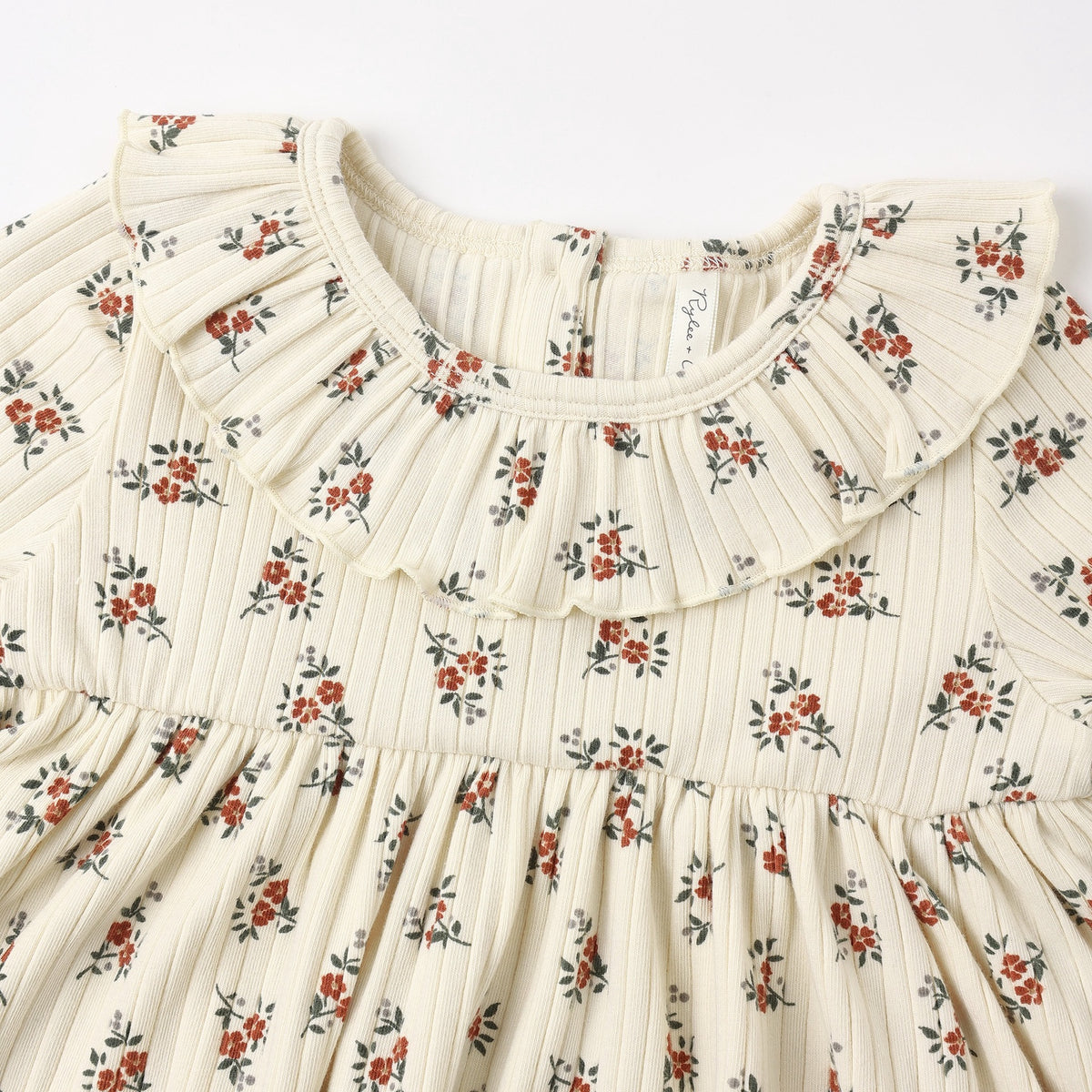 Rylee + Cru Ruffle Collar Dress - Ruby Bloom
