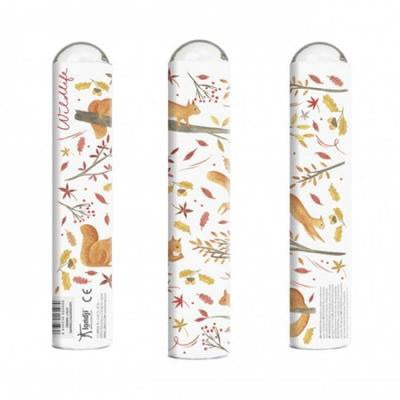 Kaleidoscope - Squirrels