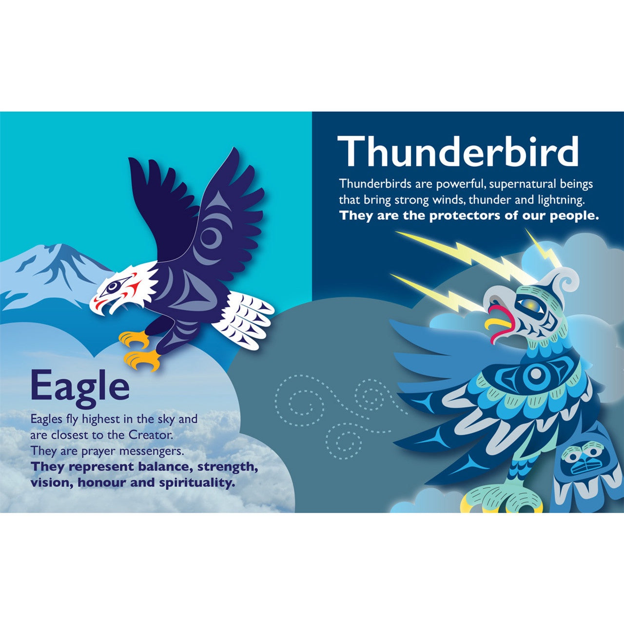 Native Northwest Animals Of The Salish Sea Board Book