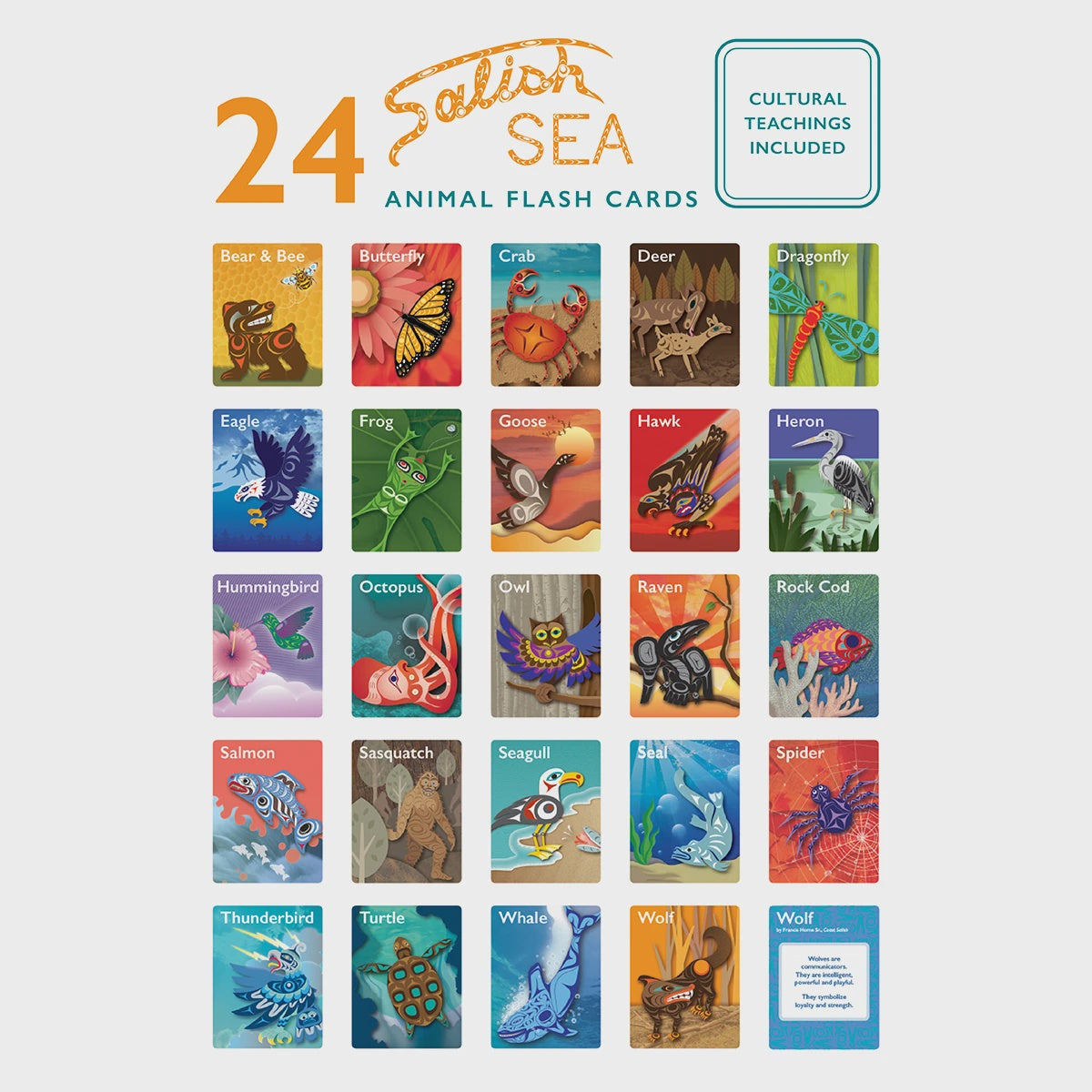Flash Cards - Animals of the Salish Sea