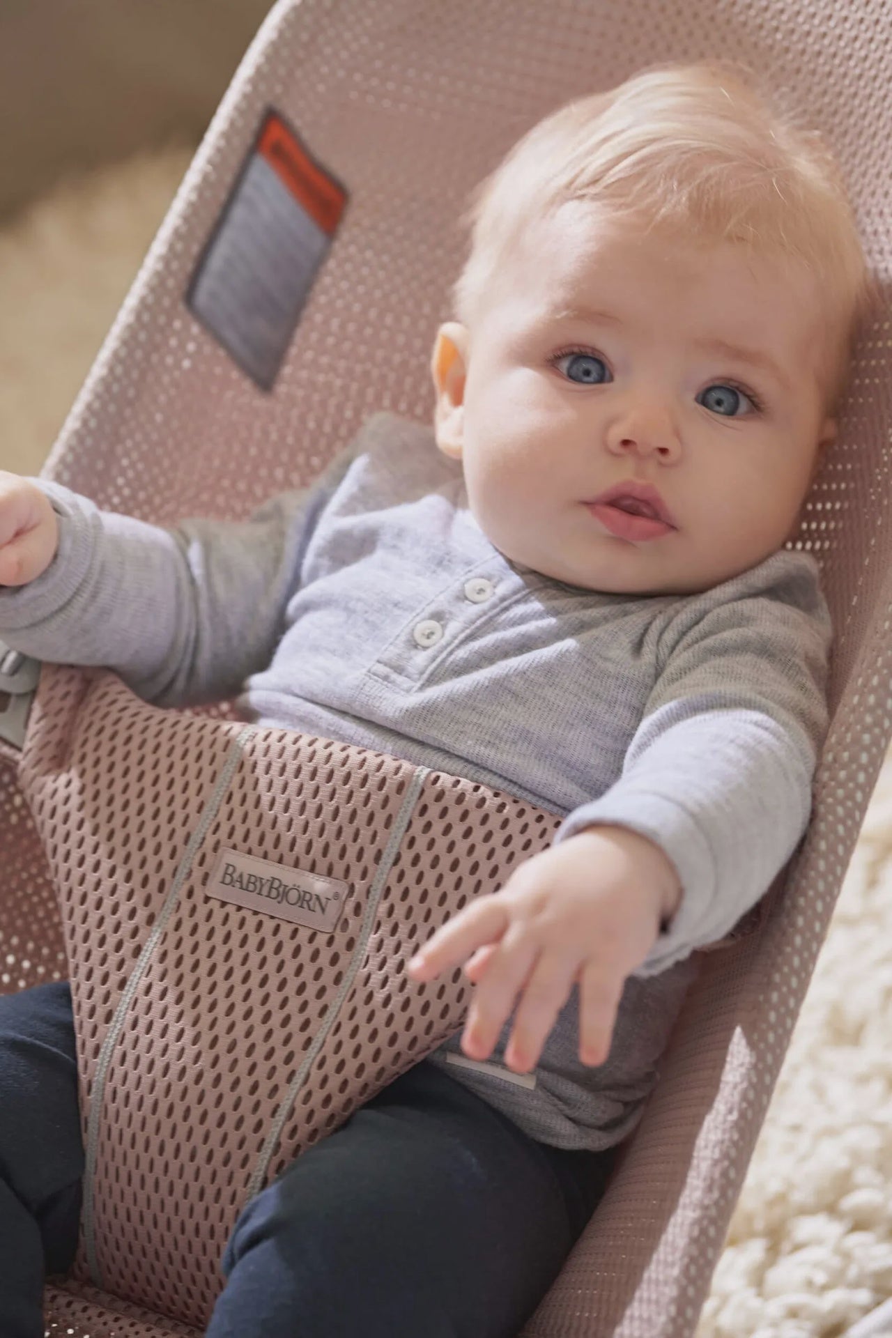 Baby Bjorn Bouncer Bliss - Mesh
