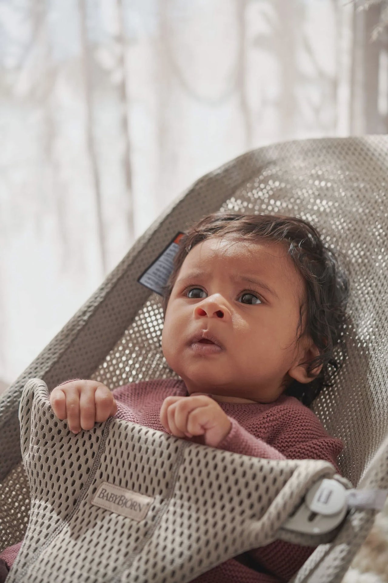 Baby Bjorn Bouncer Bliss - Mesh
