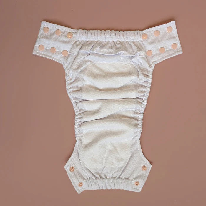 La Petite Ourse Swim Diapers 2.0 - Pufferfish