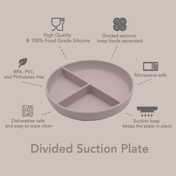 noüka Divided Suction Plate