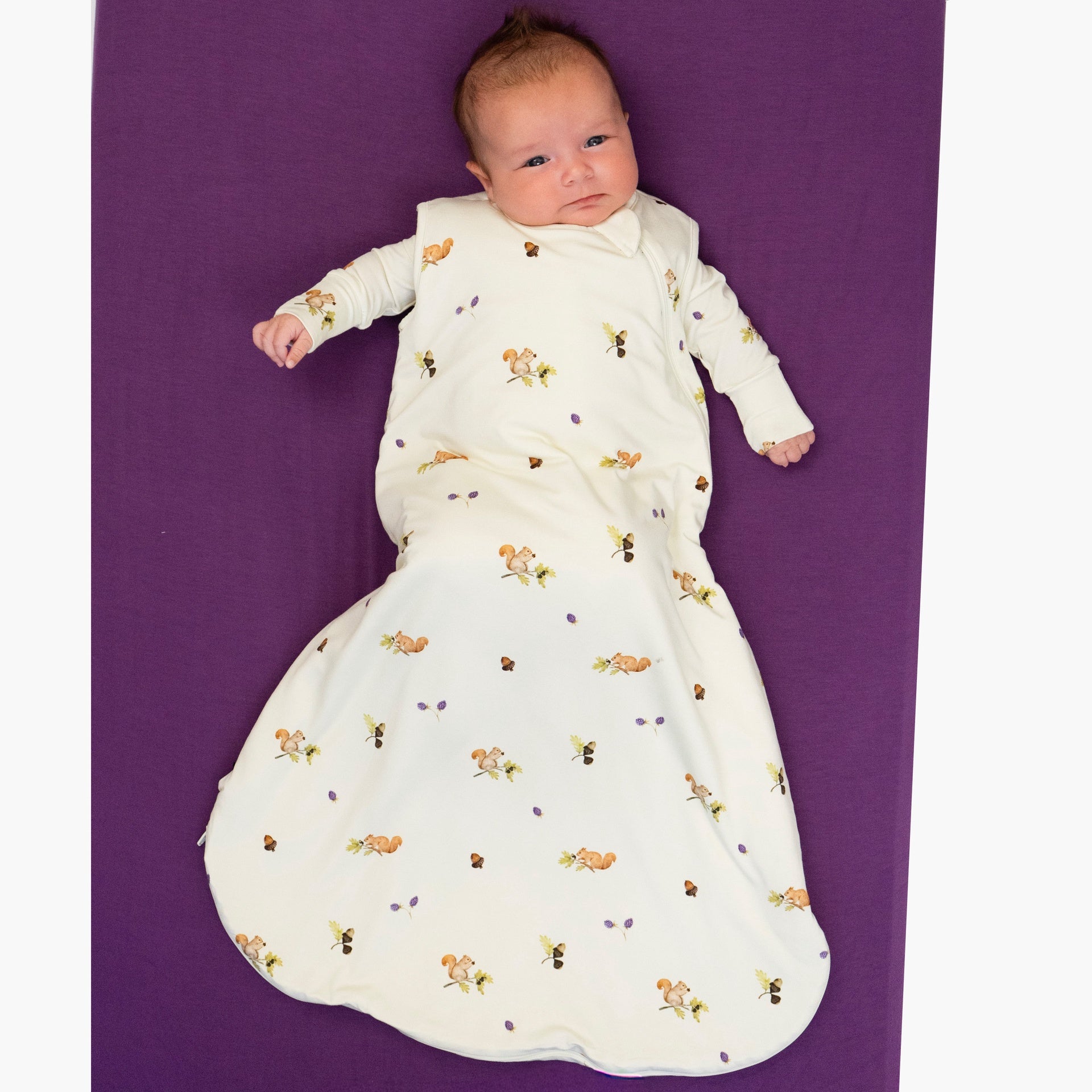 2.5 TOG Sleep Sack - Squirrels